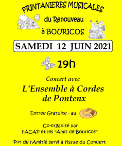Ensemble à Cordes - Bouricos