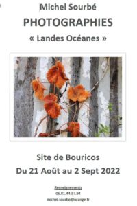 Exposition Michel Sourbé
