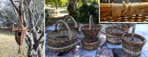 Bouricos - Activites Landes - Atelier - Vannerie 01